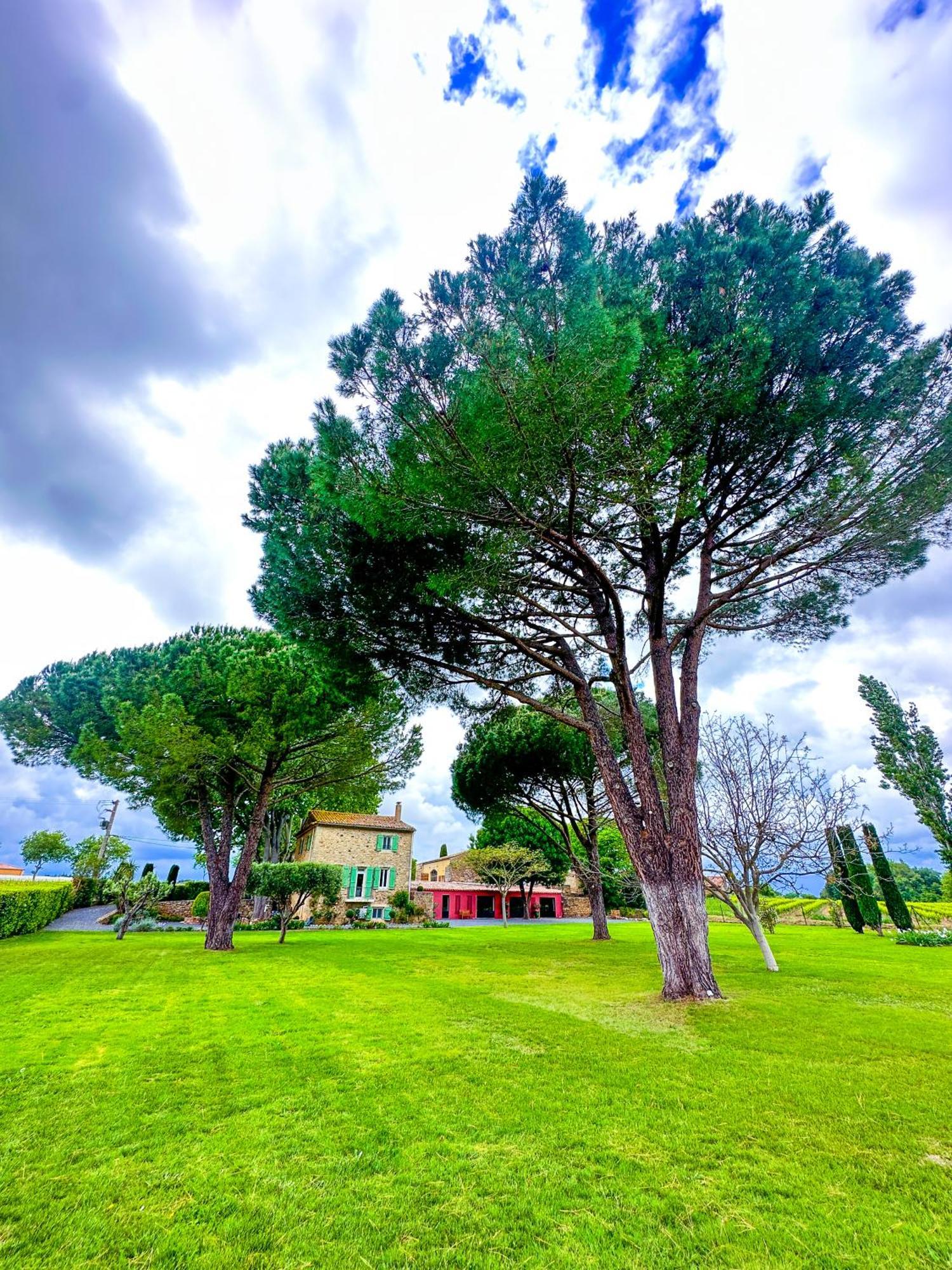 Domaine La Mouline Pezenas Ngoại thất bức ảnh